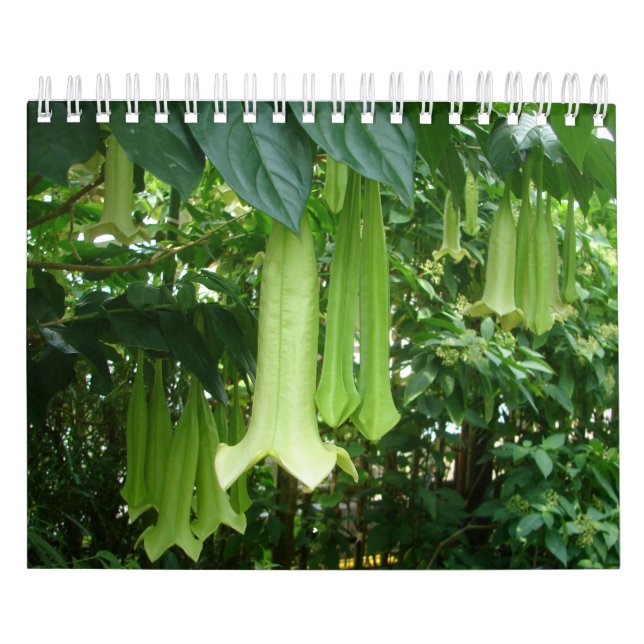 Calendario Plantas tropicales de la selva tropical (Tapa)