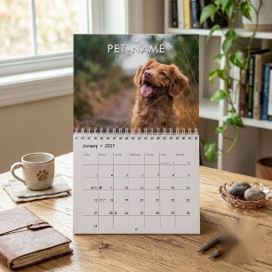 Calendario Plantilla de 14 fotos personalizadas de mascotas p