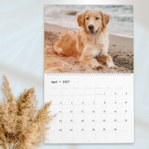 Plantilla simple para amantes de mascotas con foto