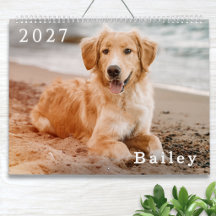 Plantilla simple para amantes de mascotas con foto