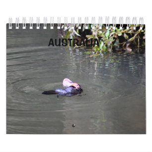 CALENDARIO PLATYPUS AUSTRALIA