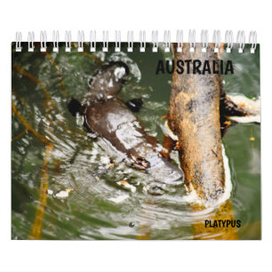 CALENDARIO PLATYPUS AUSTRALIA