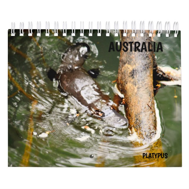 CALENDARIO PLATYPUS AUSTRALIA (Tapa)