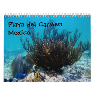 Calendario Playa del Carmen, México