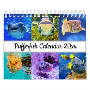 Calendario Plefilia