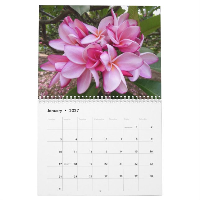 Calendario Plumerias hawaianos (Jan 2027)