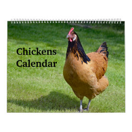 Calendario Pollos