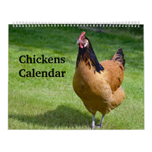 Calendario Pollos