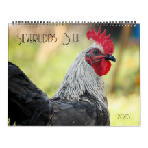 Pollos azules de Silverudds