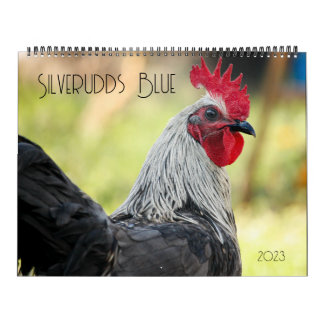Calendario Pollos azules de Silverudds