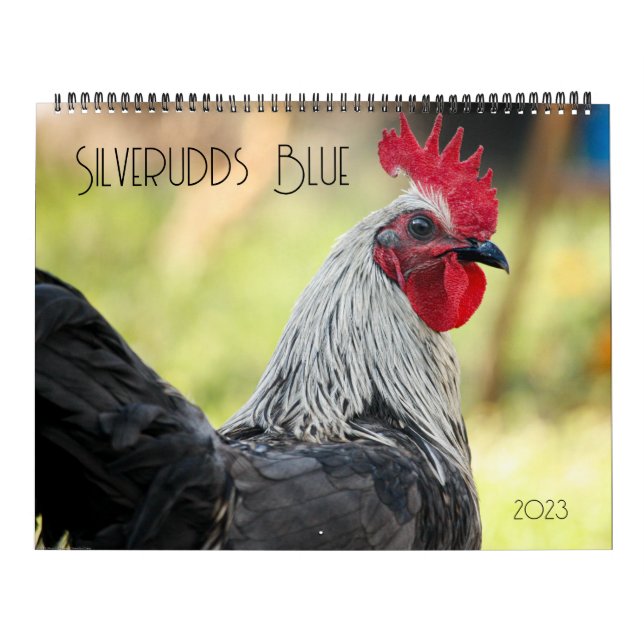 Calendario Pollos azules de Silverudds (Tapa)