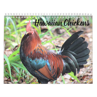 Calendario Pollos de Hawái