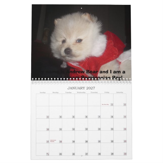 Calendario Pomeranian de Carma (Jan 2027)