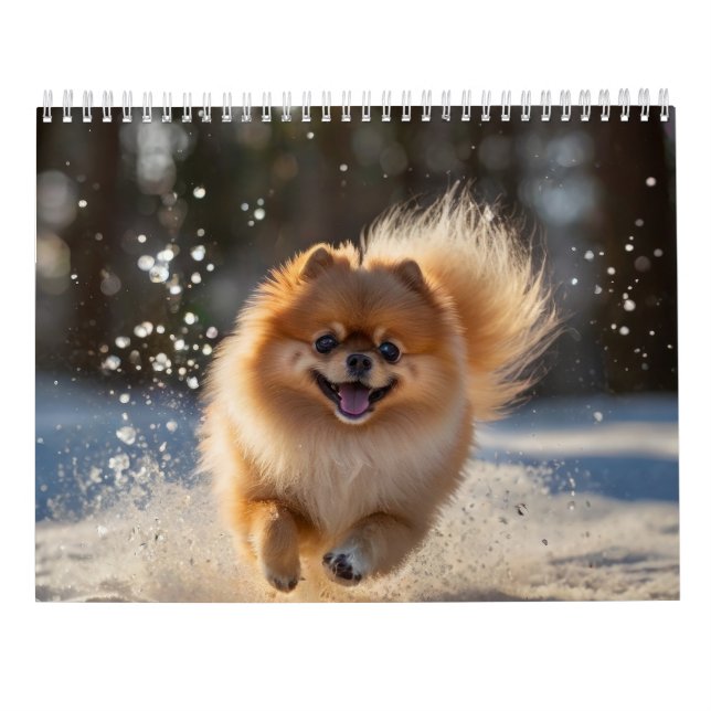 Calendario Pomeraniano 2025 (Reverso)