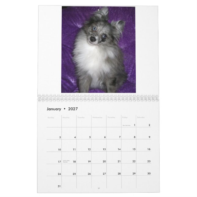 Calendario Pomeranians real (Jan 2027)