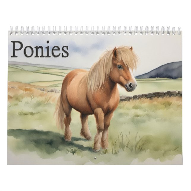 Calendario Ponies (Tapa)
