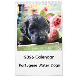 Calendario Portuguese Water Dog Calendar 2026
