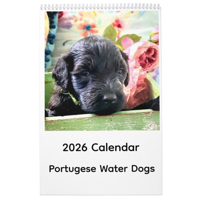 Calendario Portuguese Water Dog Calendar 2026 (Tapa)