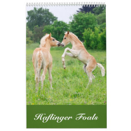 Calendario Potros 2017 de Haflinger