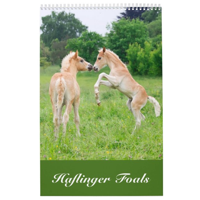 Calendario Potros 2017 de Haflinger (Tapa)