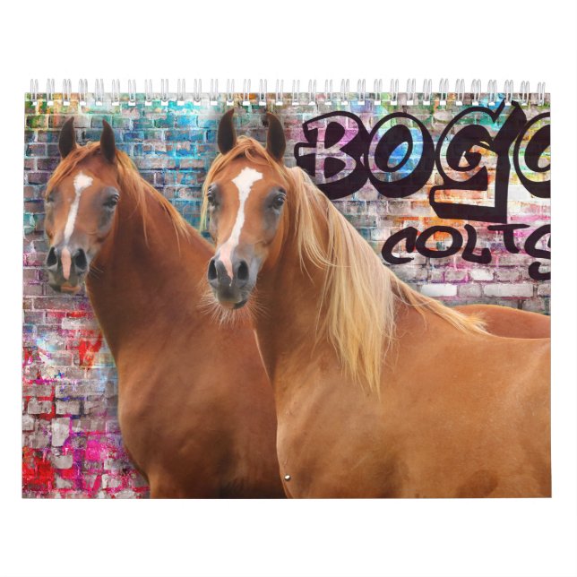 Calendario Potros de BOGO fotos 2 años (Tapa)