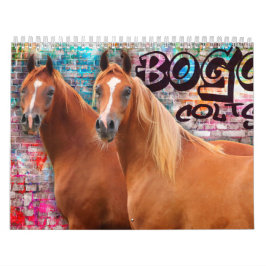 Calendario Potros de BOGO fotos 2 años
