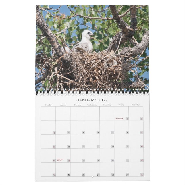 Calendario Pozos 2011 (Jan 2027)