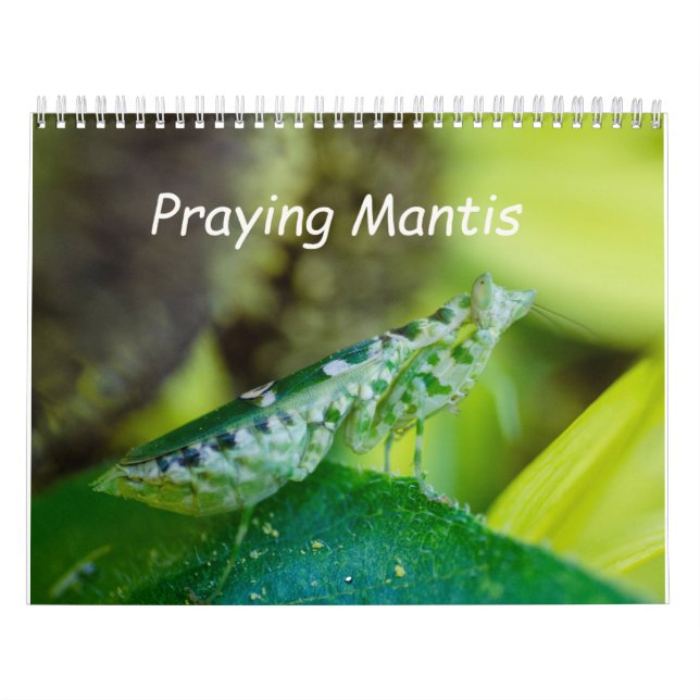 Calendario Praying Mantis Insects Calendar (Tapa)