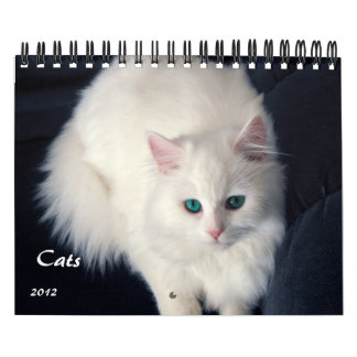 Calendario precioso de los gatos 2012