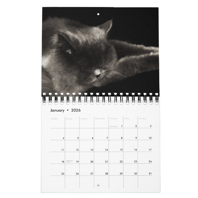 Calendario precioso de los gatos 2012 (Jan 2026)