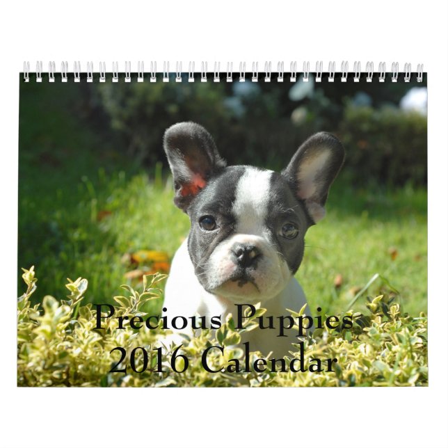 Calendario precioso de los perritos 2016 (Tapa)