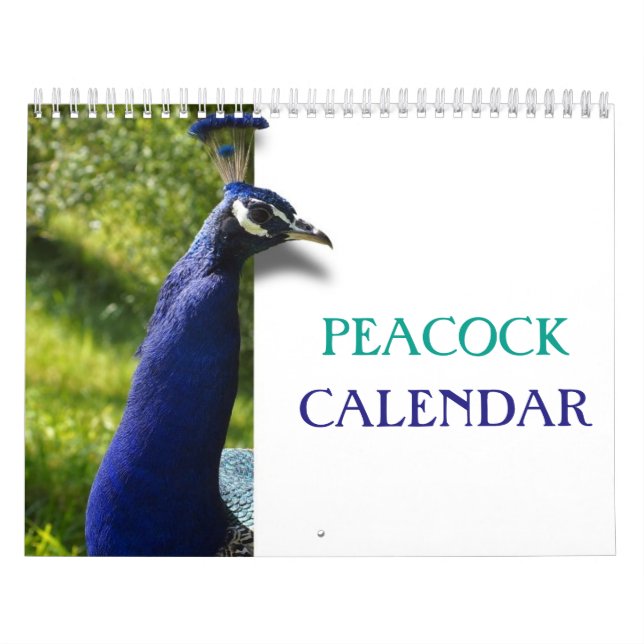 Calendario Precioso Peacock 2023 (Tapa)