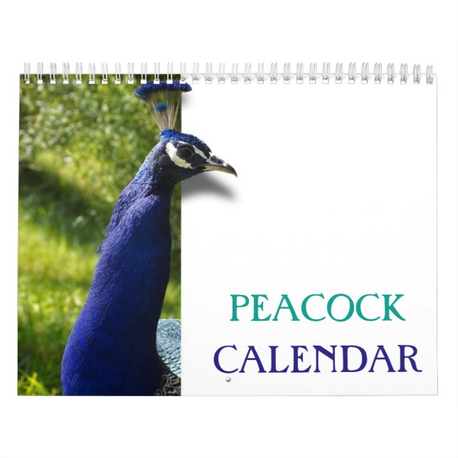 Calendario Precioso Peacock 2025 (Tapa)