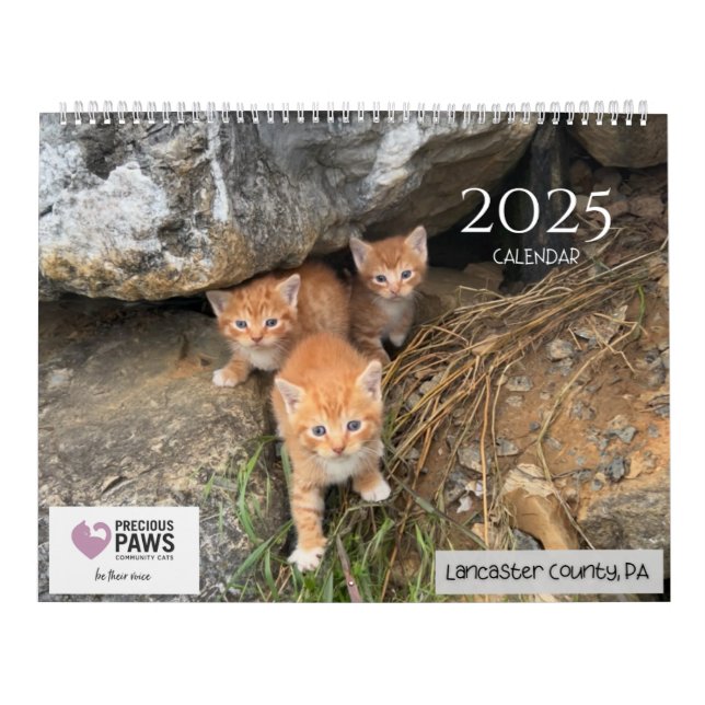 Calendario .Precious Paws 2025 Calendar. (Tapa)