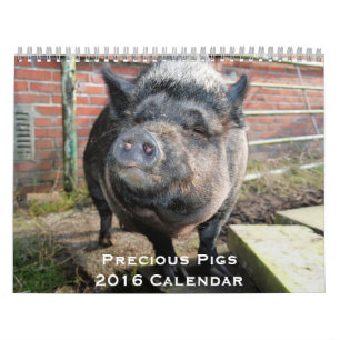 Calendario Precious Pigs 2016