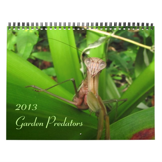 Calendario Predadores de jardín 2013 (Tapa)
