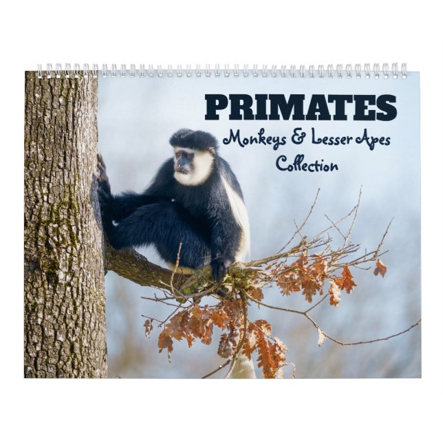 Calendario Primates 2026 - Colección de simios menores y mono (Tapa)