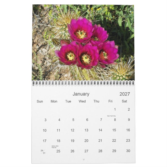 CALENDARIO PRIMAVERA EN EL DESIERTO (Jan 2027)