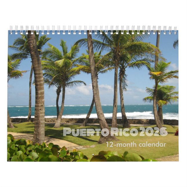 Calendario Puerto Rico 12 Months Calendar 2026 (Tapa)
