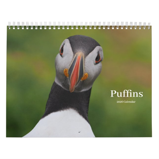 Calendario Puffins Calendar (Tapa)