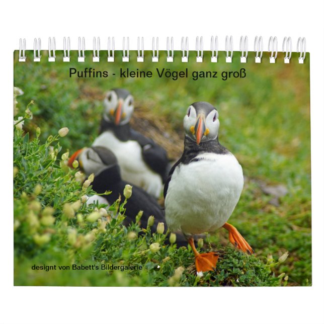 Calendario Puffins - pájaros pequeños enteros grandes (Tapa)