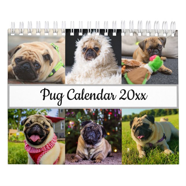 Calendario Pug (Tapa)
