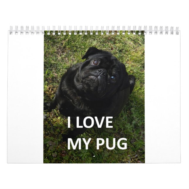 Calendario Pug (Tapa)