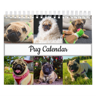 Calendario Pug
