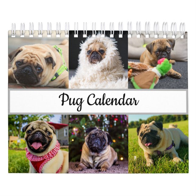 Calendario Pug (Tapa)