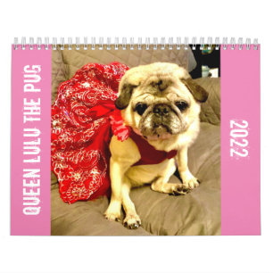Calendario Pug 2022 de la Reina Lulu
