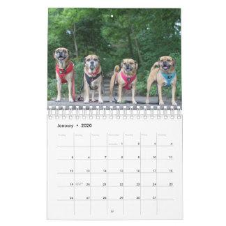 CALENDARIO PUGGGLE 2020