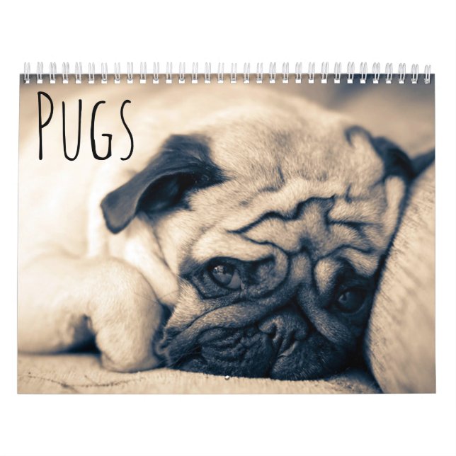 Calendario Pugs (Tapa)