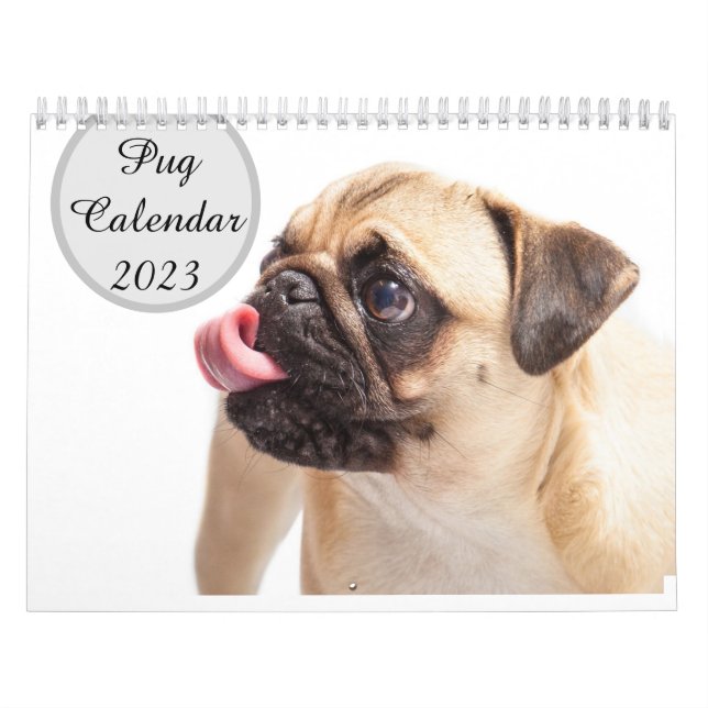 Calendario Pugs 2023 (Tapa)