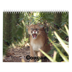 Calendario Puma 001, puma